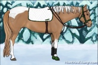 Horse Color:Chestnut Tobiano