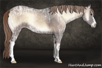 Horse Color:Liver Red Onyx Ice