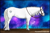 Horse Color:Watercolor Chocolate Palomino Snowcap Rabicano 