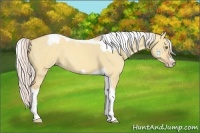 Horse Color:Silver Amber Champagne Dun Tobiano Frame 