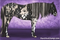 Horse Color:Chocolate Palomino Pearl Sabino  and Liver Chestnut 