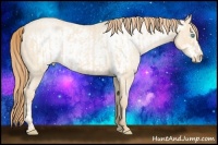 Horse Color:Buckskin Roan Pearl  and Buckskin Roan Pearl Frame 