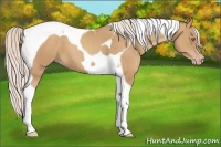 Horse Color:Silver Classic Champagne Tobiano