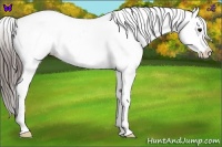 Horse Color:Blue Roan Splash Frame Blanket 