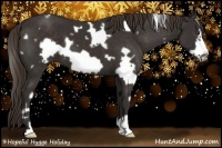 Horse Color:White Spotted Liver Chestnut Frame