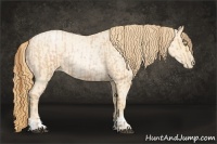 Horse Color:Bay Roan Pearl  and Buckskin Roan Pearl Rabicano 