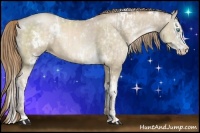Horse Color:White Spotted Chocolate Buckskin Pearl and White Spotted Chocolate Buckskin Pearl Splash