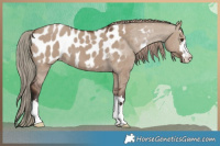 Horse Color:Liver Red Dun Near Leopard 