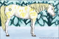 Horse Color:Watercolor White Spotted Liver Chestnut Splash Appaloosa