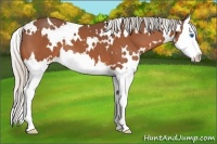 Horse Color:White Spotted Silver Bay Splash 