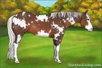 Horse Color:White Spotted Silver Brown Splash 