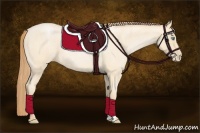 Horse Color:Buckskin Roan Pearl  and Buckskin Roan Pearl 