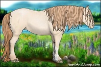 Horse Color:Buckskin Roan Pearl and Buckskin Pearl