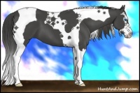 Horse Color:Smoky Black Splash Tobiano 