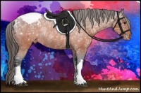 Horse Color:Brown Ice Varnish Rabicano 