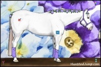 Horse Color:Red Dun Splash Varnish 