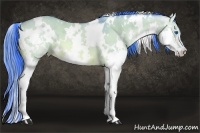 Horse Color:Watercolor White Spotted Bay Dun Splash 