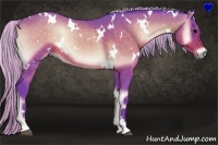 Horse Color:Watercolor White Spotted Silver Bay Onyx Sabino 