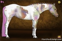 Horse Color:Painted Nacre Chocolate Palomino Tobiano and Painted Nacre Chocolate Palomino Pearl Tobiano