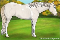 Horse Color:Smoky Creme Roan Splash Tobiano 