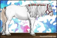 Horse Color:Buckskin Roan Pearl Frame Blanket  and Buckskin Roan Pearl Blanket 