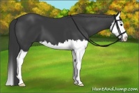 Horse Color:Smoky Black Splash