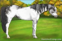 Horse Color:White Spotted Black Frame 