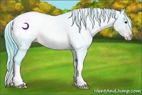 Horse Color:Watercolor Brown Appaloosa Rabicano 