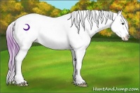 Horse Color:Watercolor Buckskin Appaloosa Rabicano