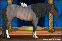 Horse Color:Brown Roan Rabicano 