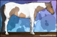 Horse Color:Buckskin Roan Tobiano 