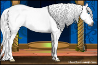 Horse Color:Gray Buckskin Roan Splash 