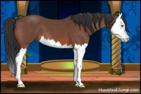 Horse Color:Bay Roan Splash