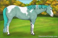 Horse Color:Watercolor Grullo Splash Tobiano 