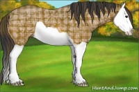 Horse Color:Plaid Bay Ice Splash