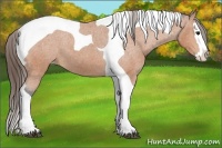 Horse Color:Bay Splash Tobiano Varnish 