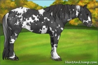 Horse Color:White Spotted Black Varnish 