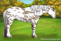 Horse Color:Classic Champagne Splash Tobiano 