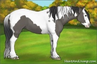 Horse Color:Grullo Splash Tobiano 