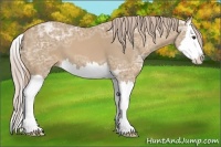 Horse Color:Palomino Ice Sabino Splash