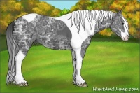 Horse Color:Smoky Black Ice Sabino Tobiano