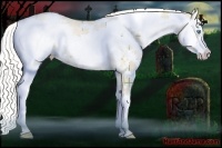 Horse Color:Plaid Silver Buckskin Pearl Dun Sabino