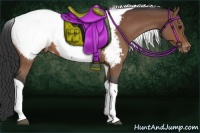 Horse Color:Bay Roan Tobiano Appaloosa