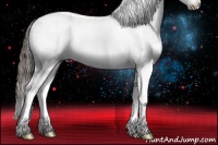 Horse Color:White Spotted Liver Chestnut Splash Appaloosa 