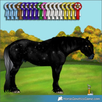 Horse Color:ERROR: UNKNOWN ANOMALY