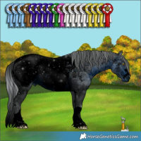 Horse Color:ERROR: UNKNOWN ANOMALY