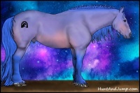 Horse Color:Watercolor Buckskin Sabino 