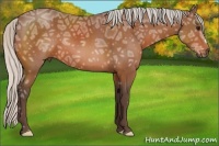 Horse Color:Silver Bay Ice 