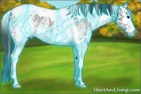 Horse Color:Thunderstruck White Spotted Black Ice Tobiano Rabicano 