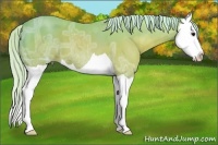 Horse Color:Watercolor Silver Brown Ice Splash 
